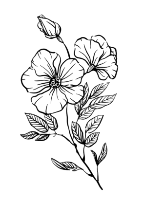 bungan-2-1-1-1.png