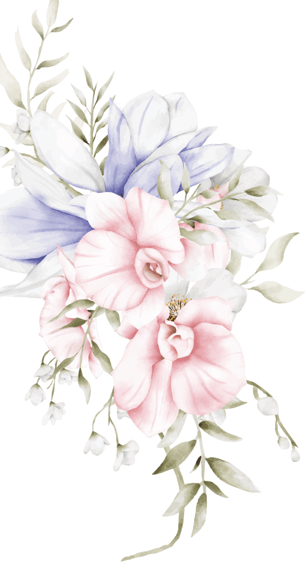 hfhfhfh-e1697603245541-scaled.png