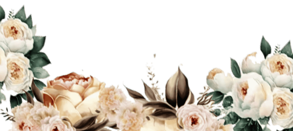 nb-nb-e1697597747217.png